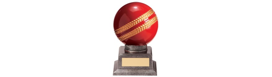 VALIANT LEGEND CRICKET AWARD - 115MM - 175MM